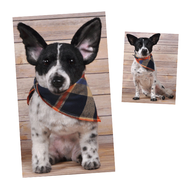 Custom stuffed animals of your pet